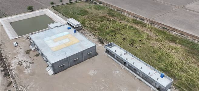 Flour Mill for SALE Khoski Bypass - Badin