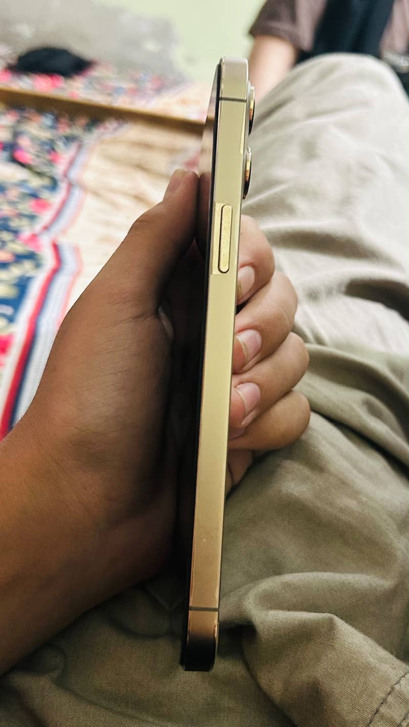IPHONE 12 pro max 1