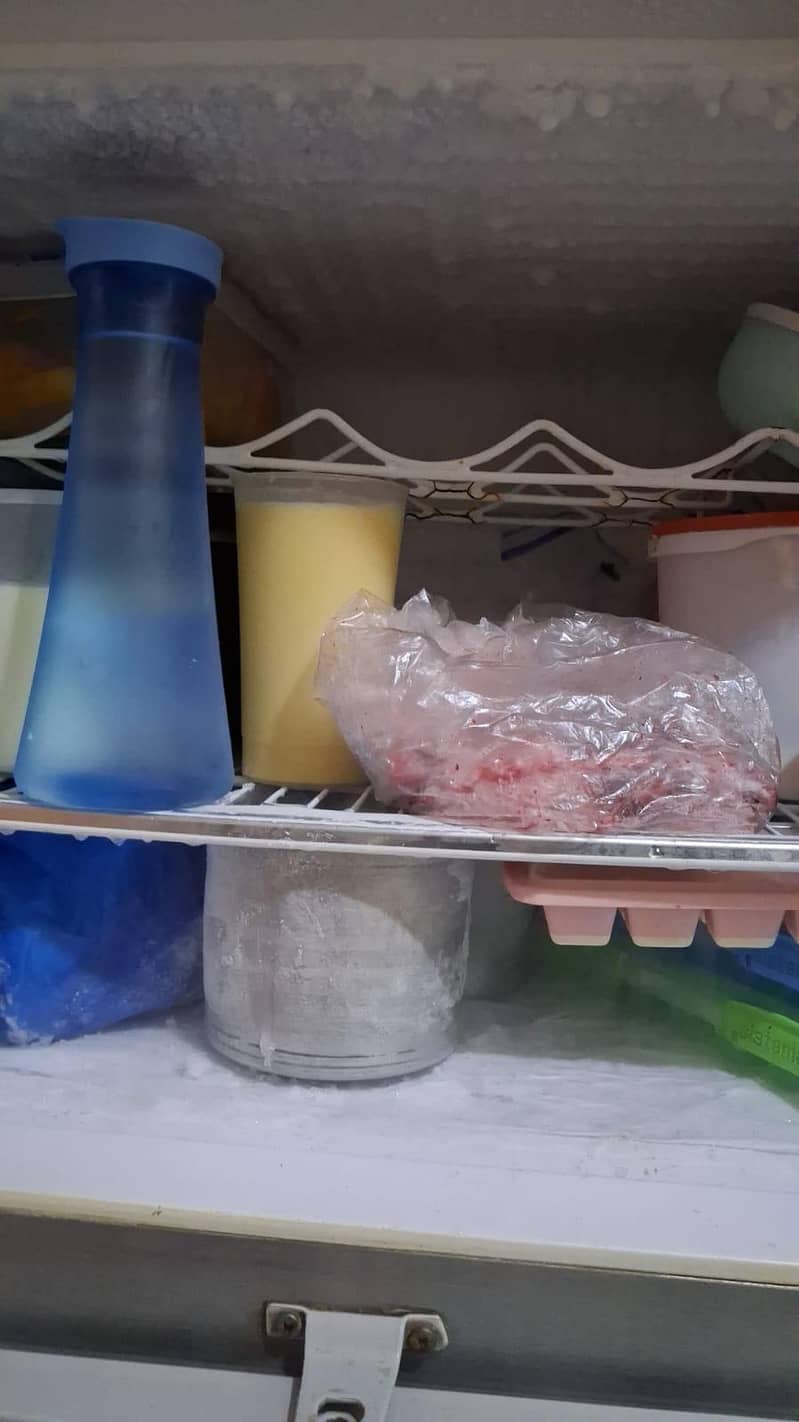 refrigerator 1