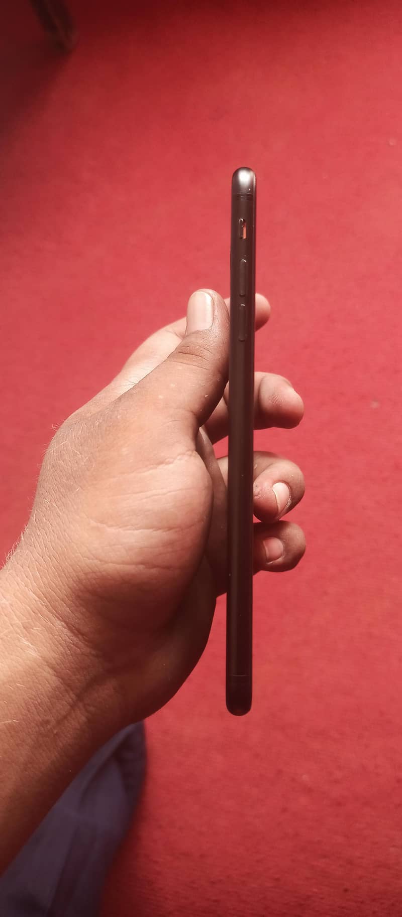 Apple iPhone 7 Plus 2