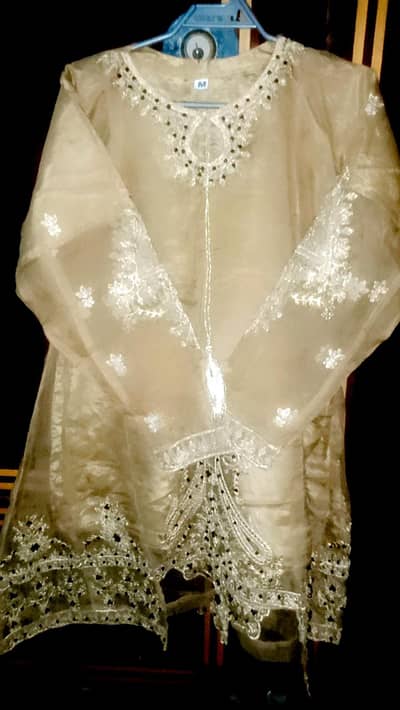Beautiful Beige 3-Piece Party Wear Organza Dress (Medium Size)