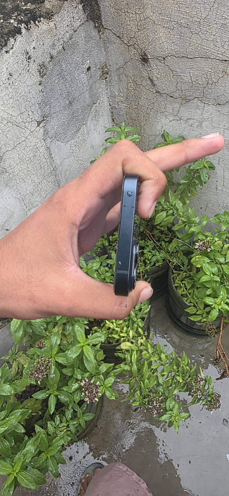 Apple iPhone 14 6