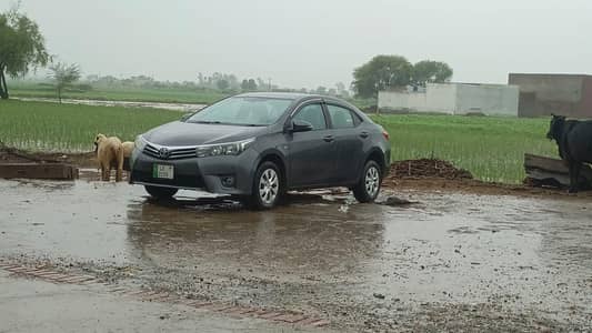 Toyota Corolla GLI 2017