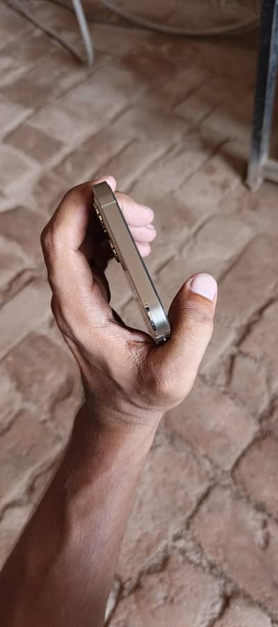 Apple iPhone 12 Pro Max 256Gb