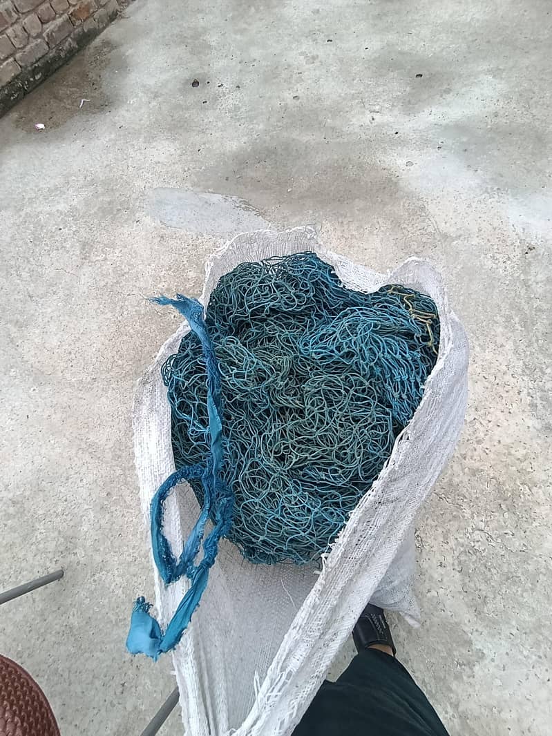 cricket net  2