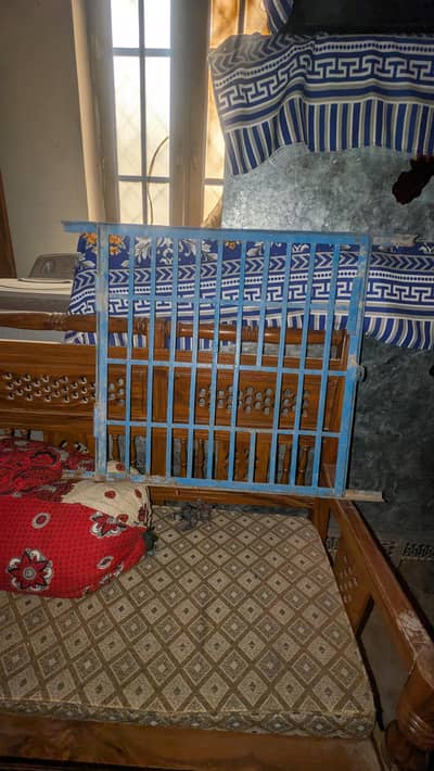 aseel door 1piece 4000 aseel murgi murgy sa exchange