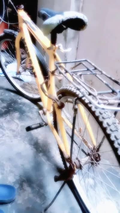 Morgan road bike 2024 modal