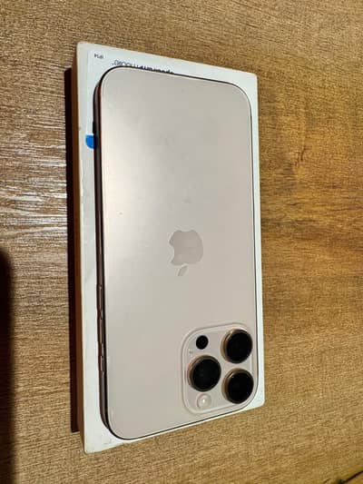 Apple iPhone 16 Pro Max