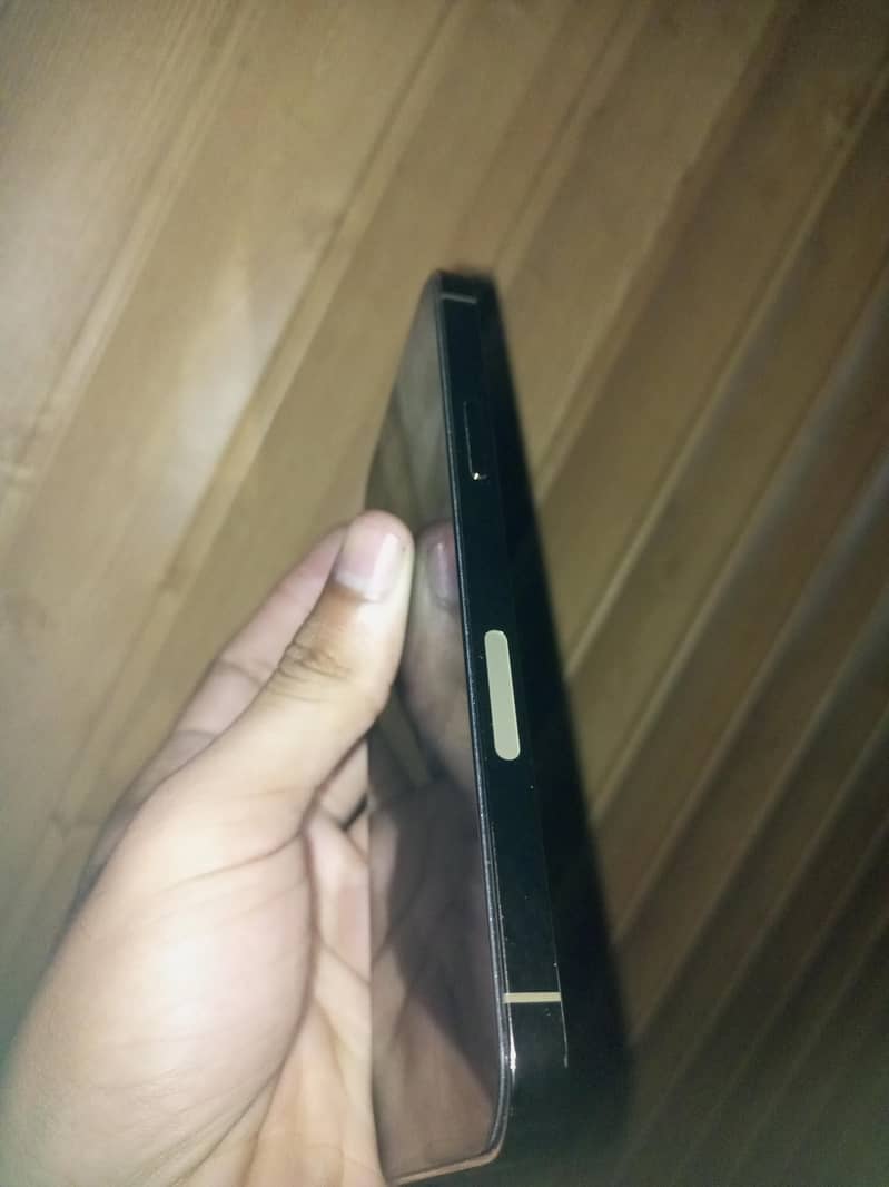 Apple iPhone 12 Pro Max 3