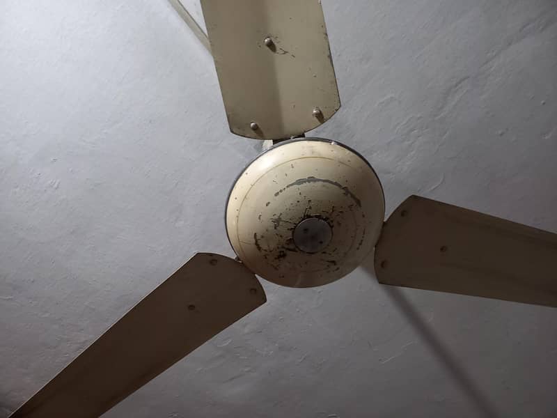 Ceiling fan 3