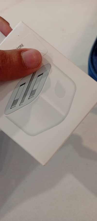 iPhone charger