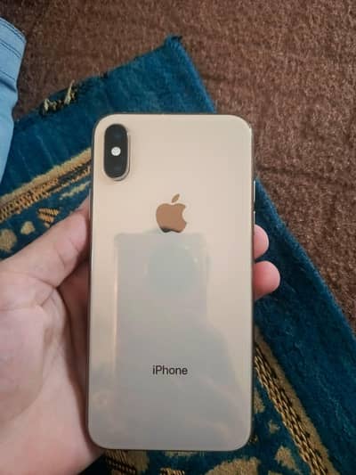 Apple iPhone X