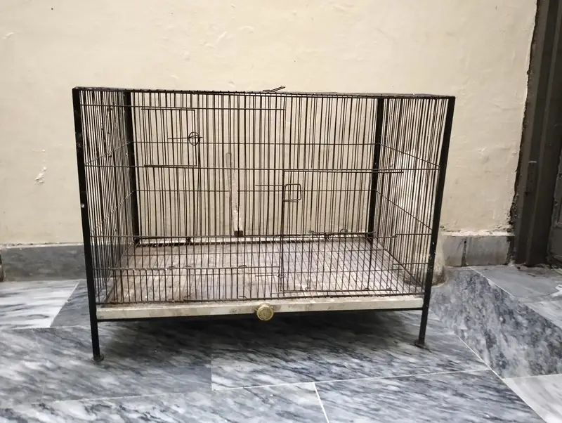 4 portion iron cage — photo 2