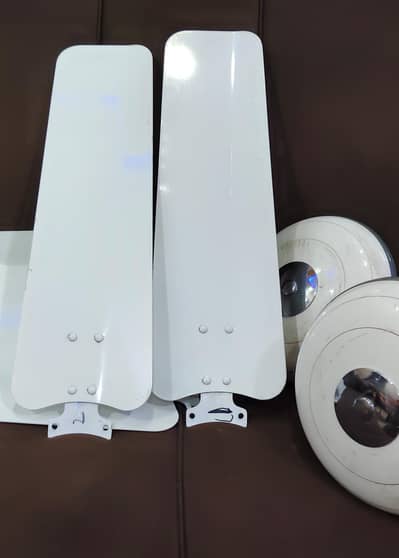 2 Royal Ceiling Fans | Copper Winding | Good Working Condition