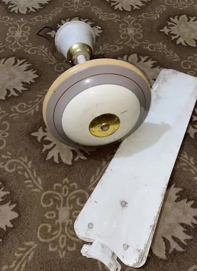 2 GFC and 2 ROYAL ceiling Fans 100% Copper winding Alloy Steel body.