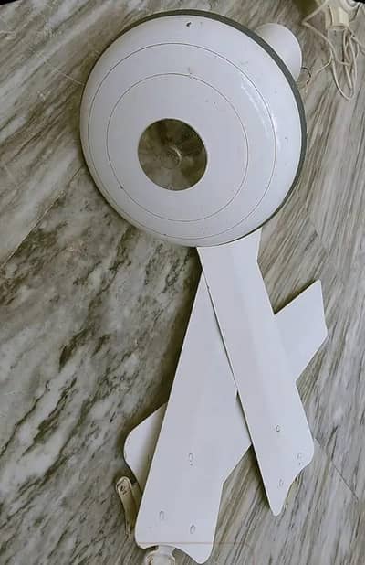 2 GFC and 2 ROYAL ceiling Fans 100% Copper winding Alloy Steel body.