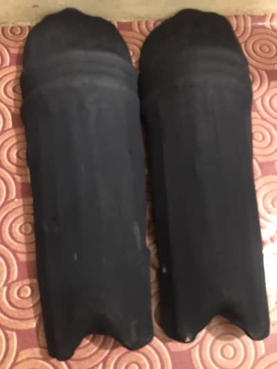 Cricket kit