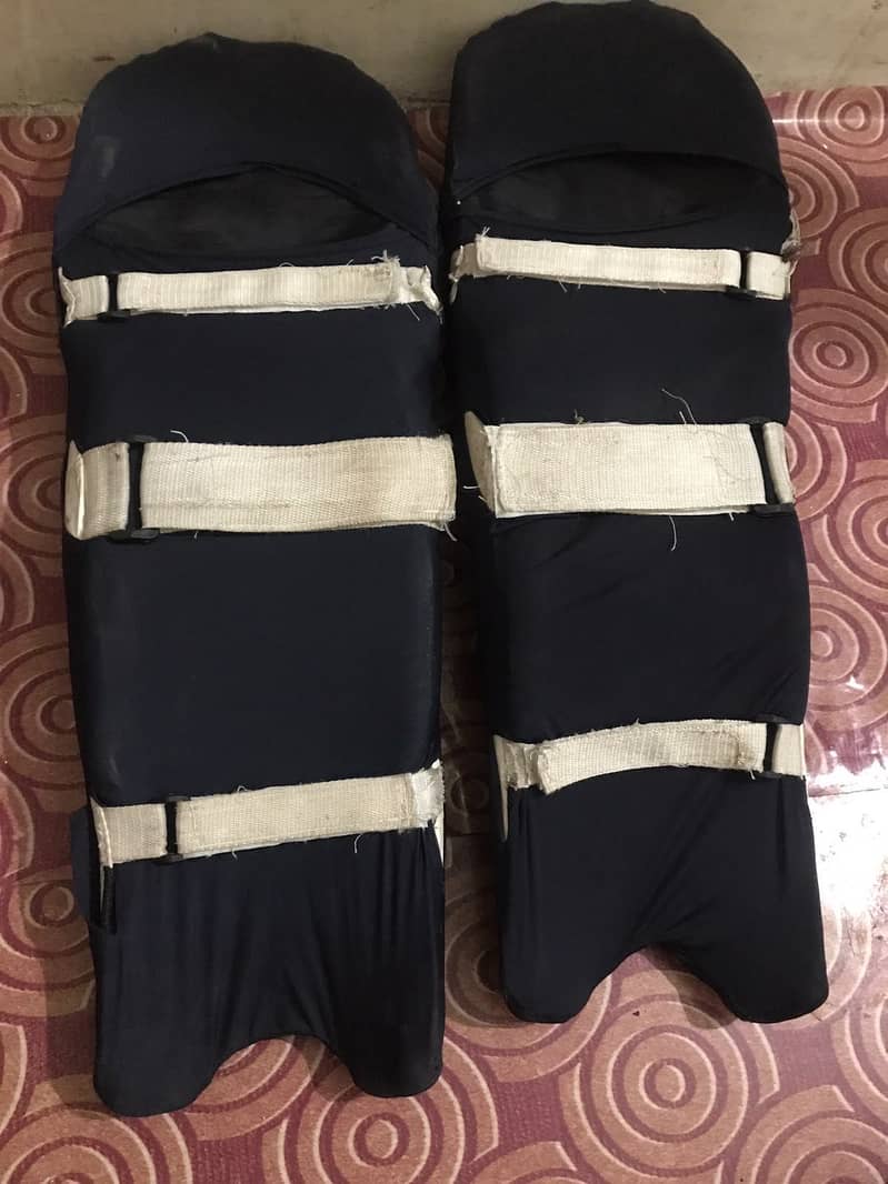 Cricket kit 1