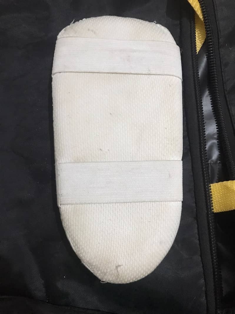 Cricket kit 5