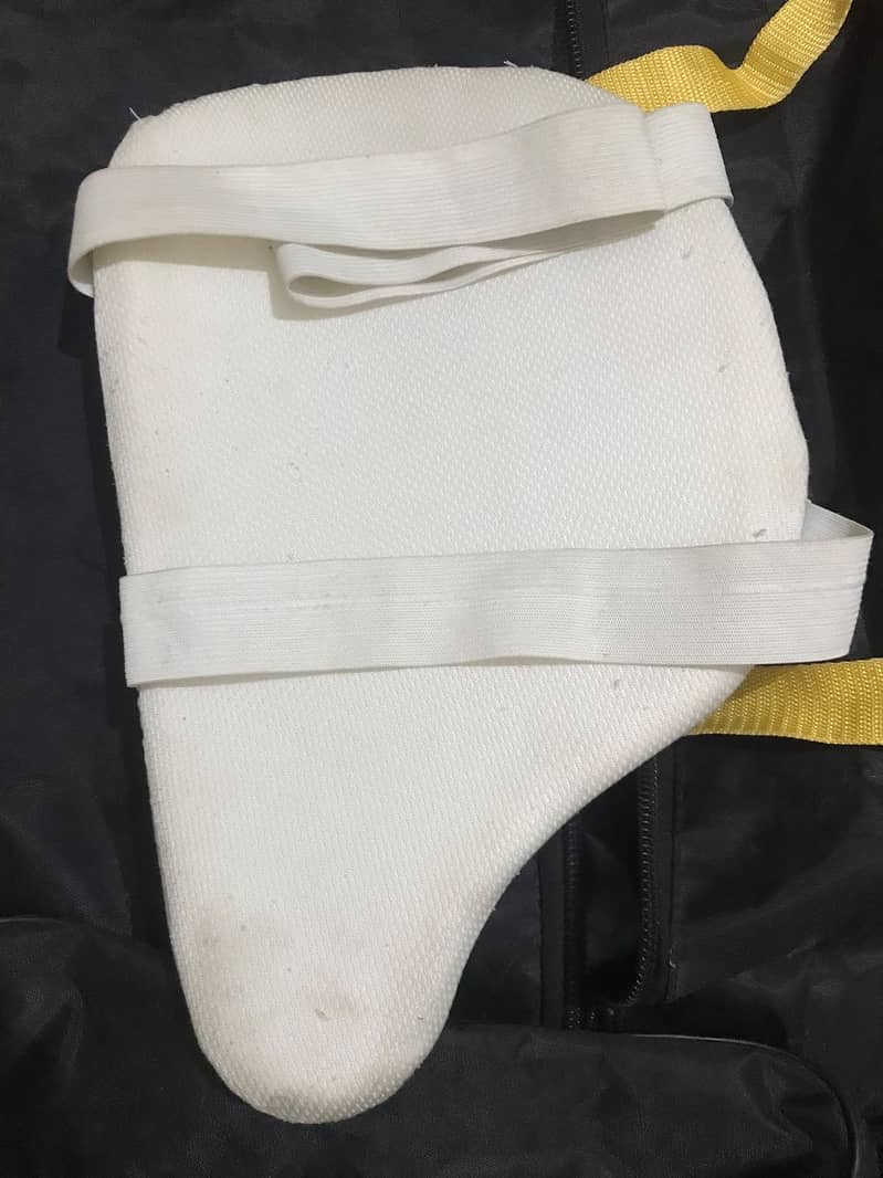 Cricket kit 10