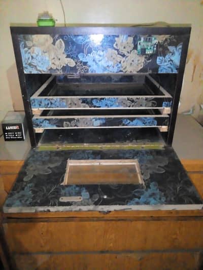 100 eggs incubator