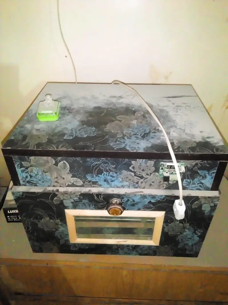 100 eggs incubator — photo 2