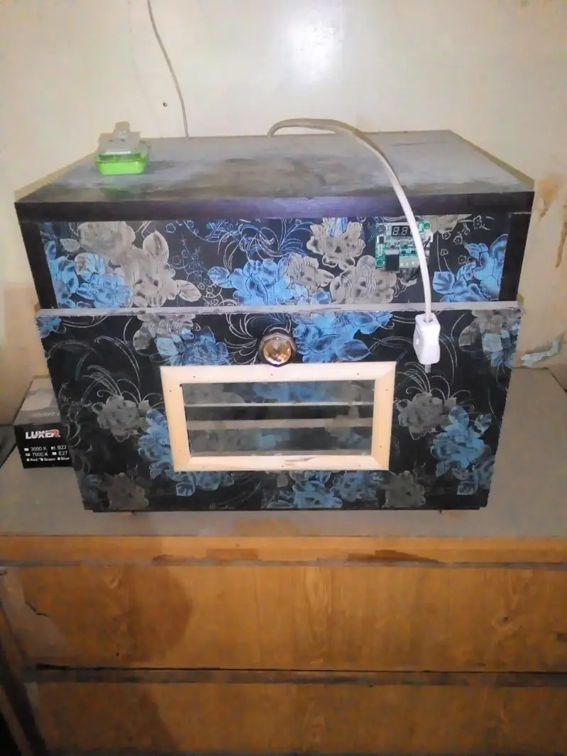 100 eggs incubator — photo 4