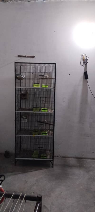 parrots cage