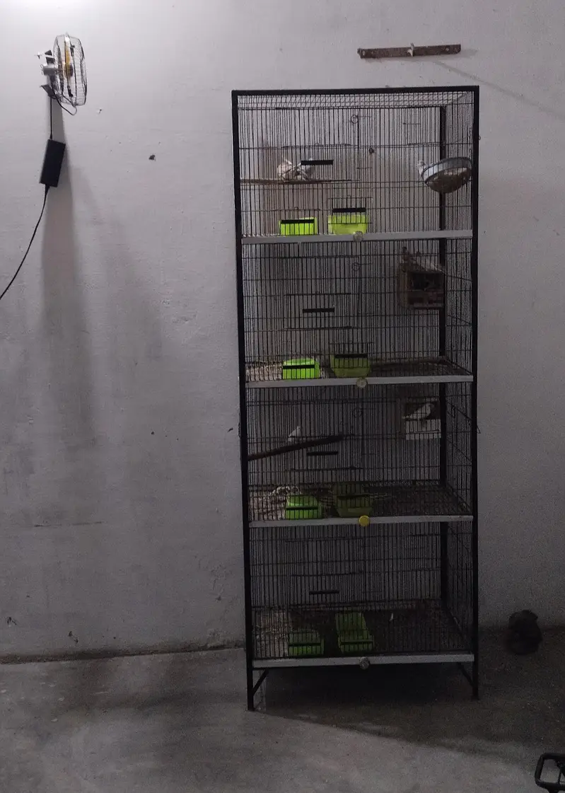 parrots cage — photo 2