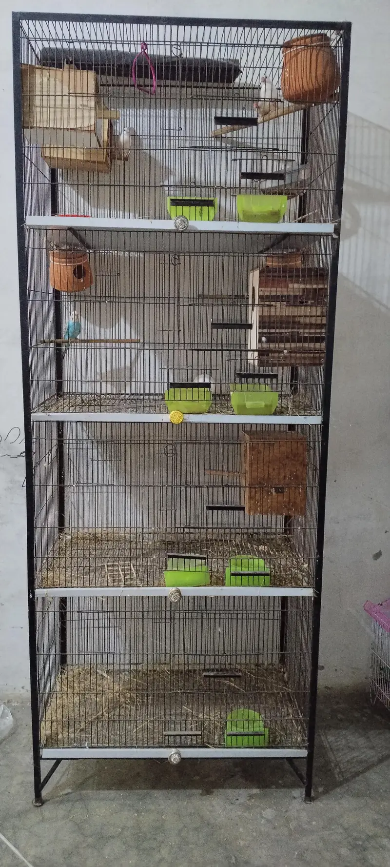 parrots cage — photo 4
