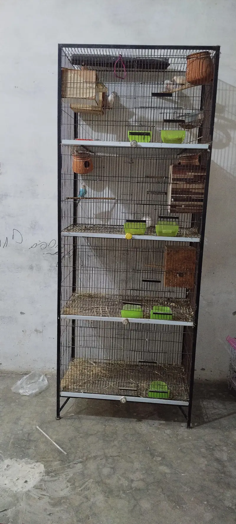 parrots cage — photo 5