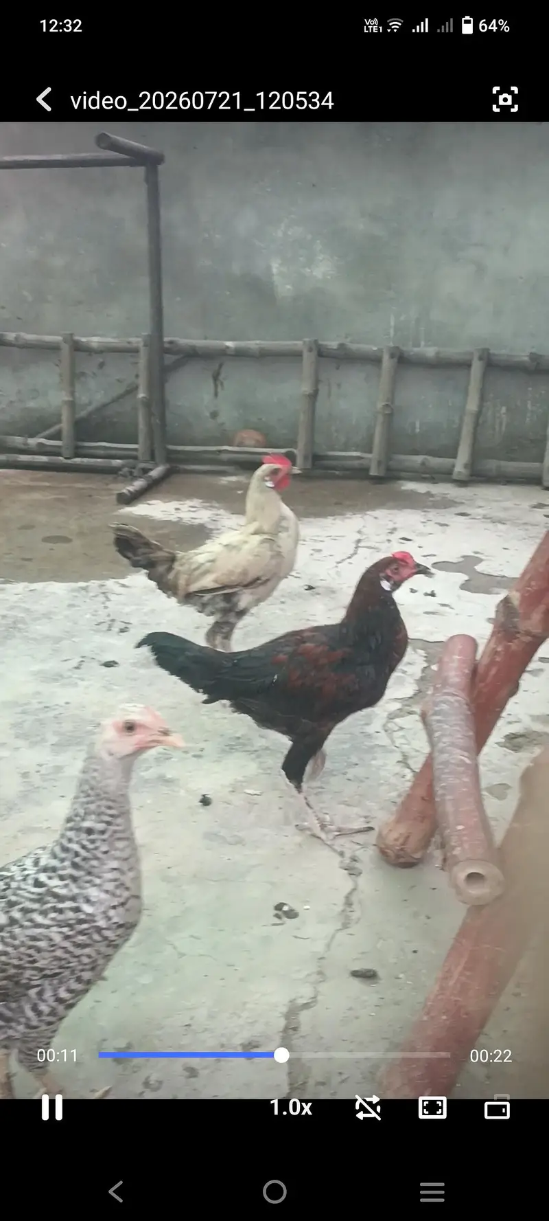 Pure Desi cock — photo 4