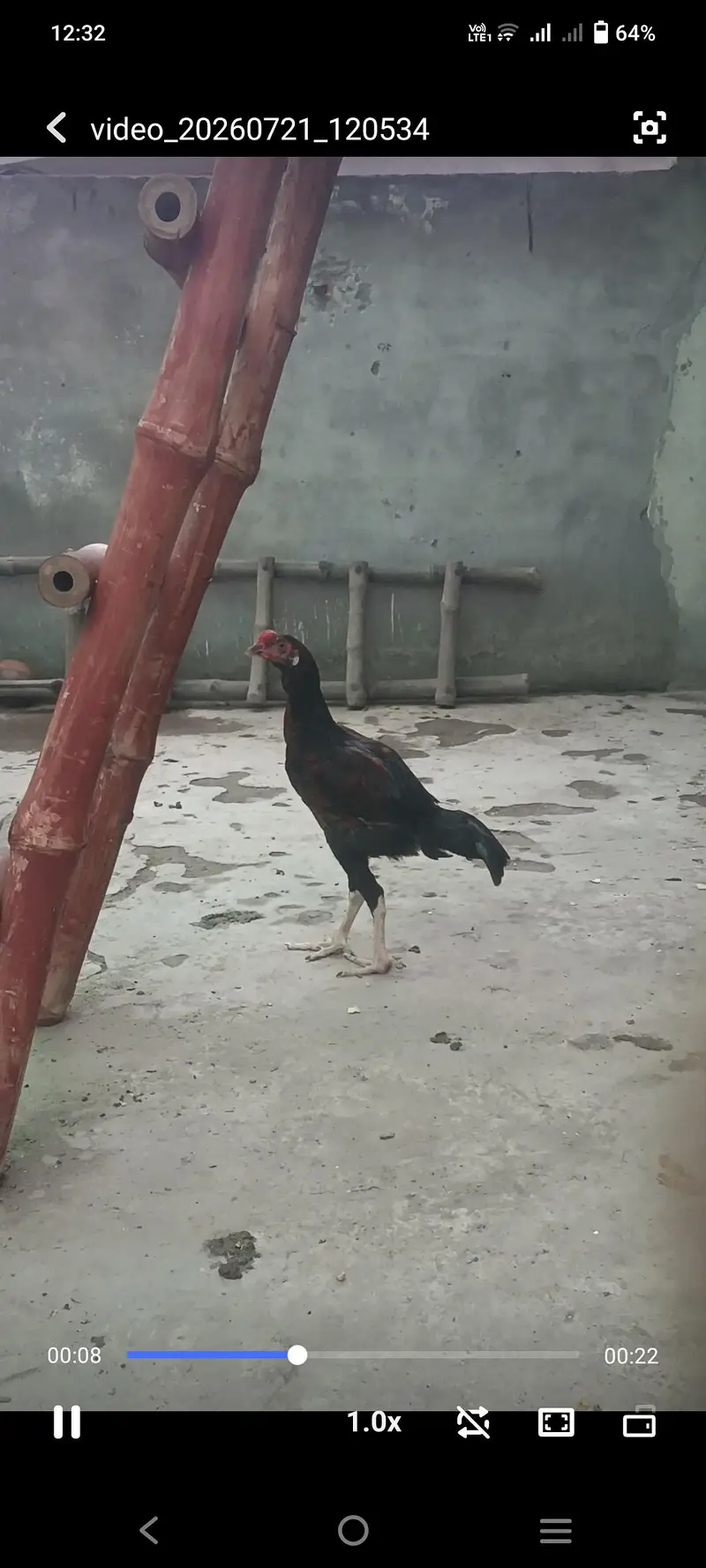 Pure Desi cock — photo 5