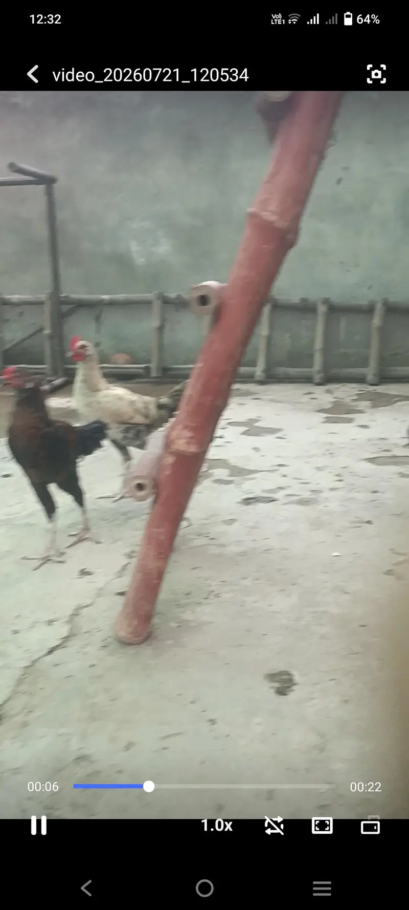 Pure Desi cock — photo 6