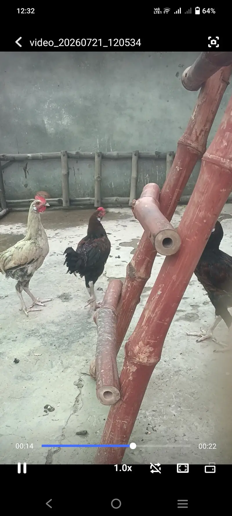 Pure Desi cock — photo 7