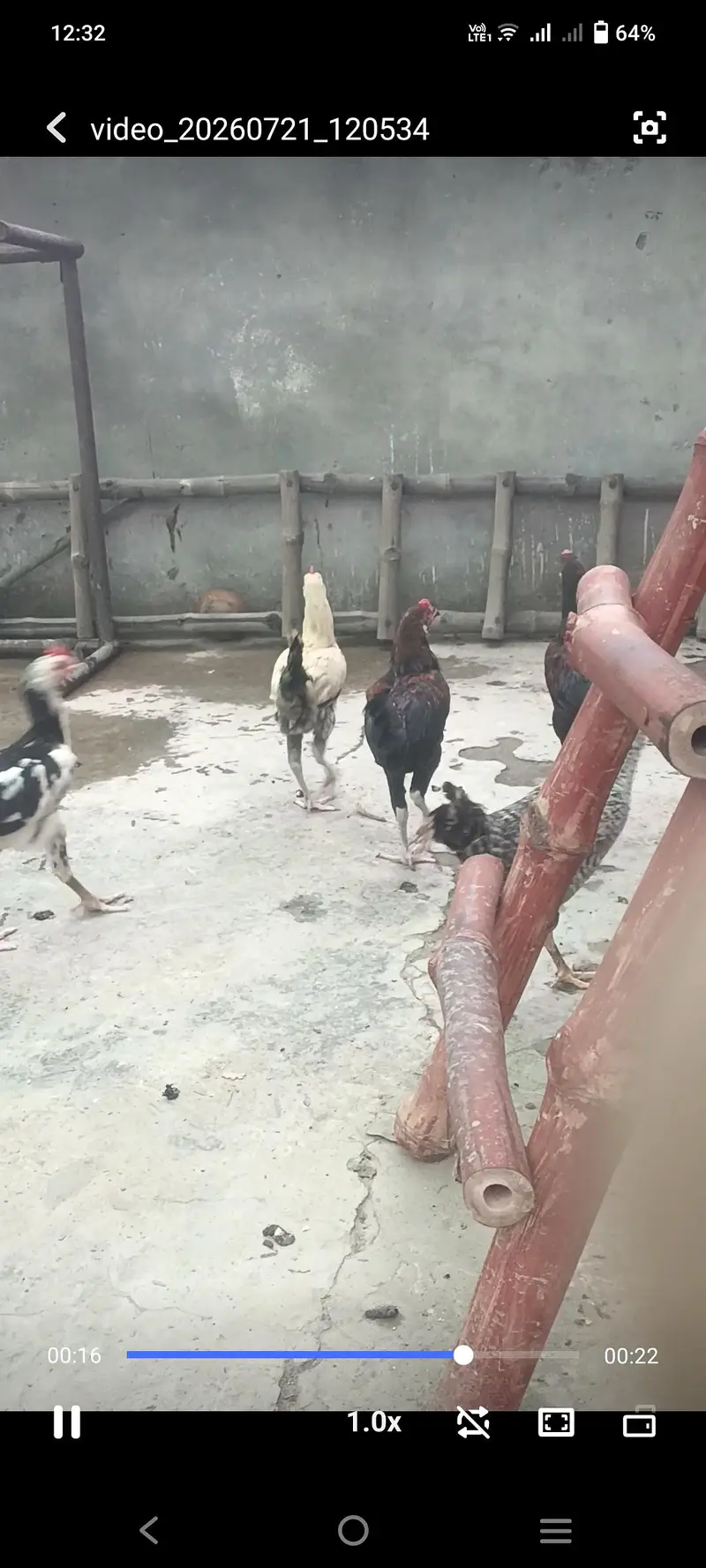 Pure Desi cock — photo 8