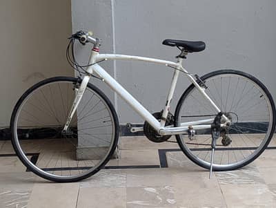 Racing cycle
