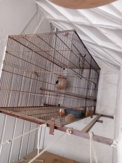 Birds cage for sale