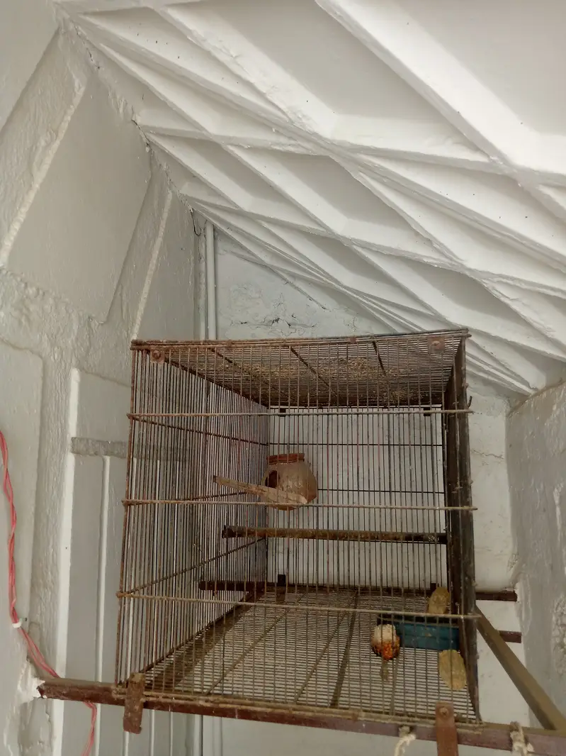 Birds cage for sale — photo 2