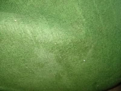 carpet sale