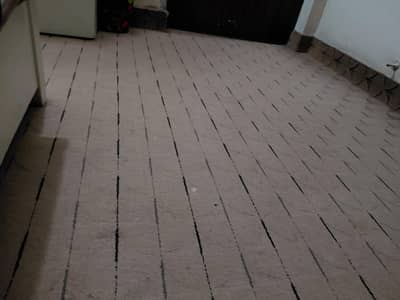 18 by 16 foot good conditioned carpet