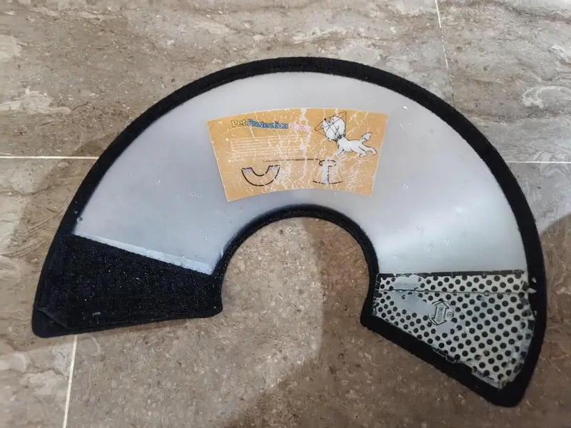 cage in good condition — photo 2