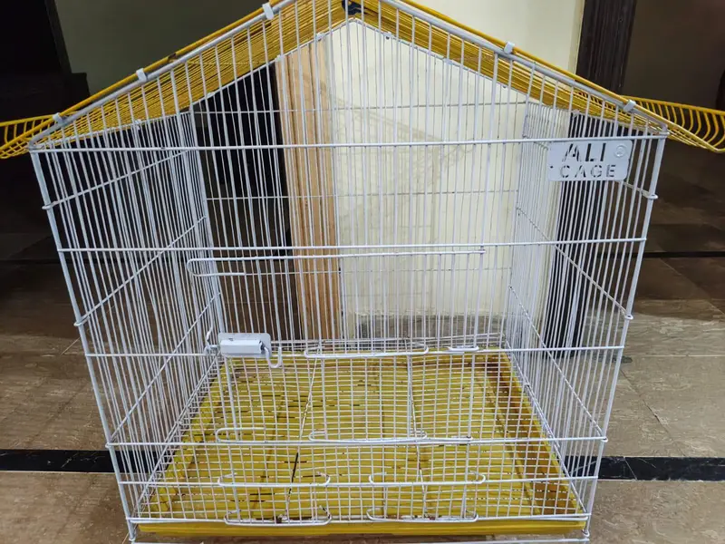 cage in big size. — photo 2