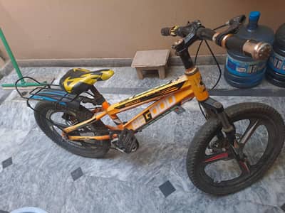 cycle for 8 years boy