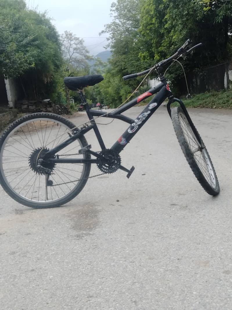 cycle 1