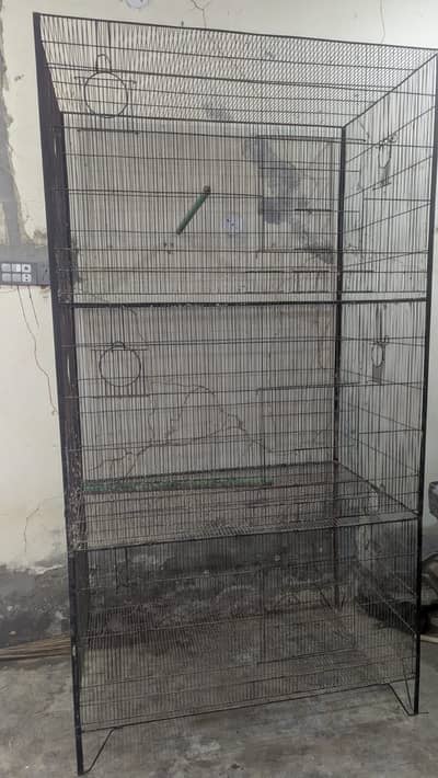 parrot cage