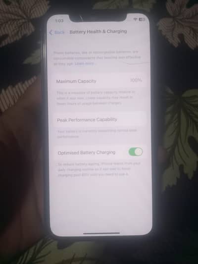 Apple iPhone X