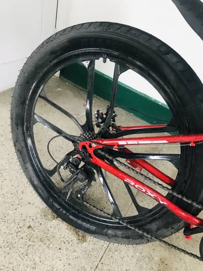 Roxy cycle for sale