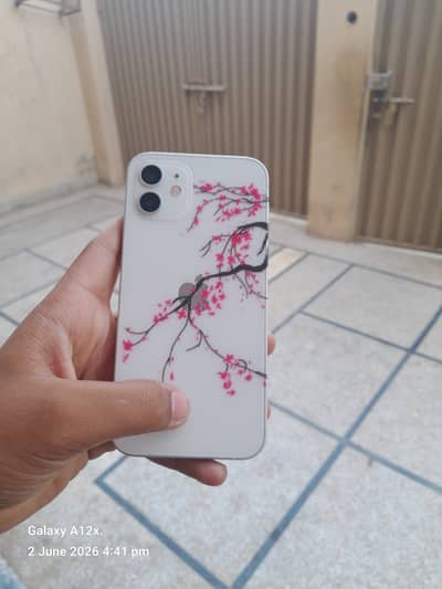 iPhone 12