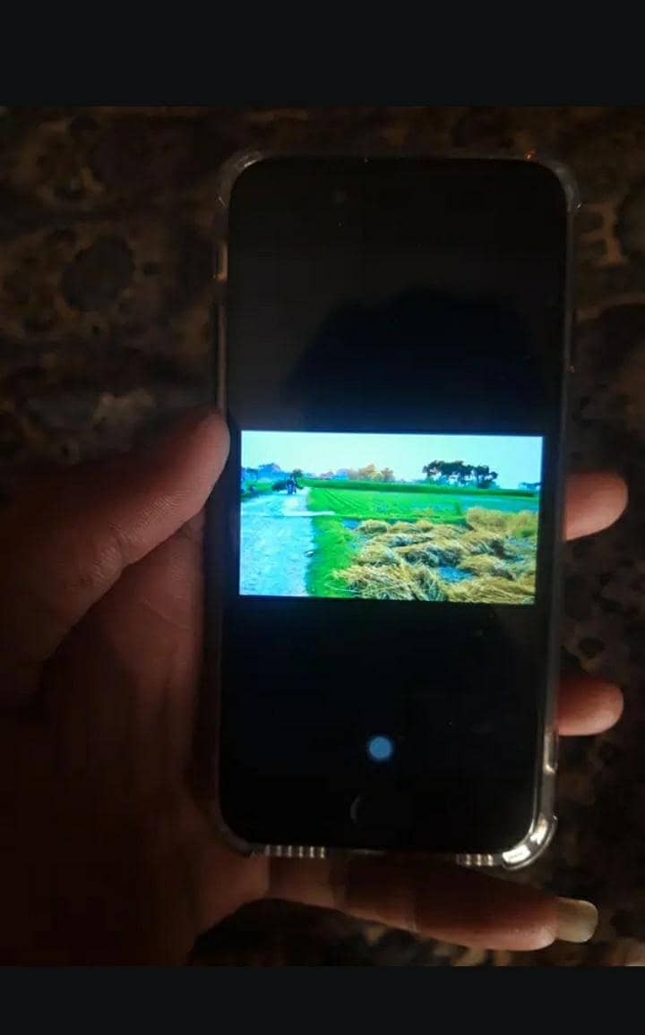 Apple iPhone 8 2